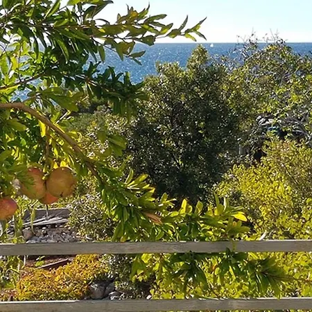 Апартаменты In Near The Sea Dolac